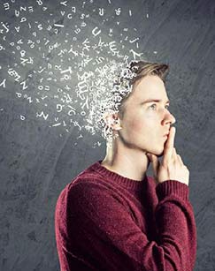 解码本能第二季封面图