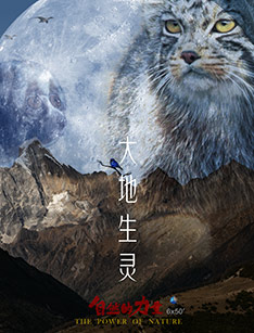 自然的力量·大地生灵封面图