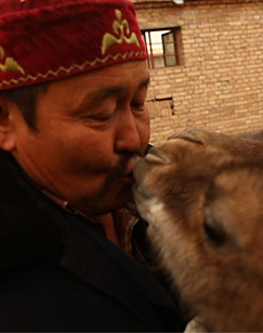 自然守望者封面图