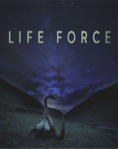 生命的力量II封面图