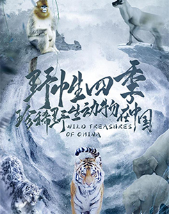 野性四季：珍稀野生动物在中国封面图