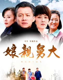 娘亲舅大封面图