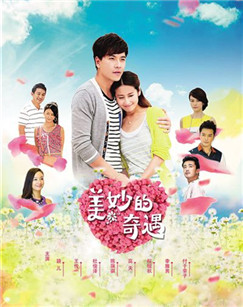 美妙的奇遇封面图