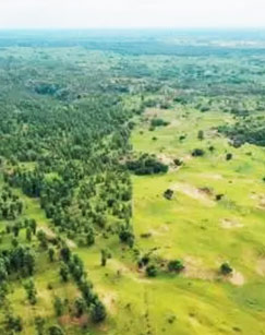 大漠初心——彰武治沙群英纪事封面图