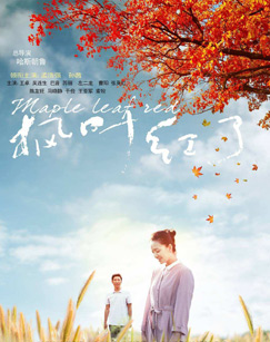 枫叶红了封面图