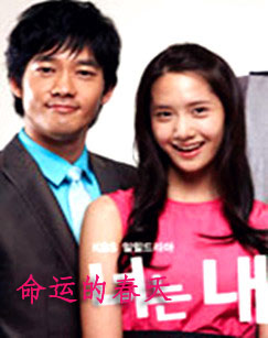 命运的春天封面图