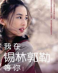 我在锡林郭勒等你封面图