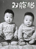 双胞胎封面图